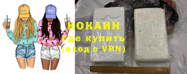 прущие грибы Кулебаки