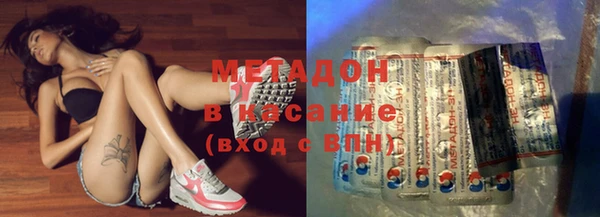 прущие грибы Кулебаки
