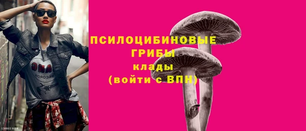 гашик Кукмор