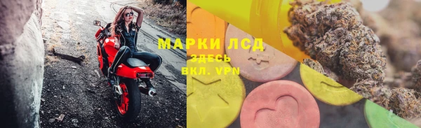 прущие грибы Кулебаки