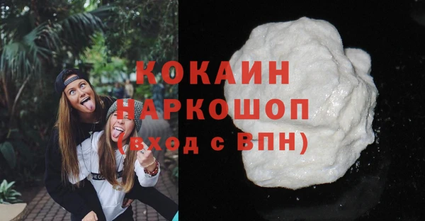 гашик Кукмор