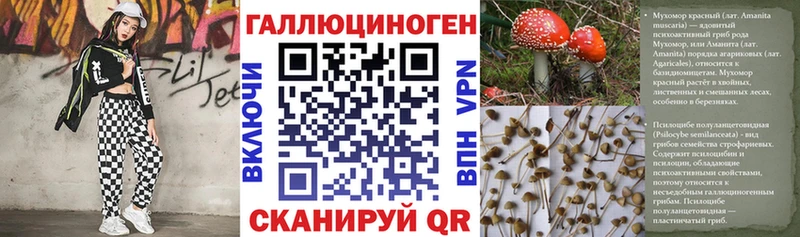 Псилоцибиновые грибы MAGIC MUSHROOMS  Купить закладки  Наро-Фоминск 